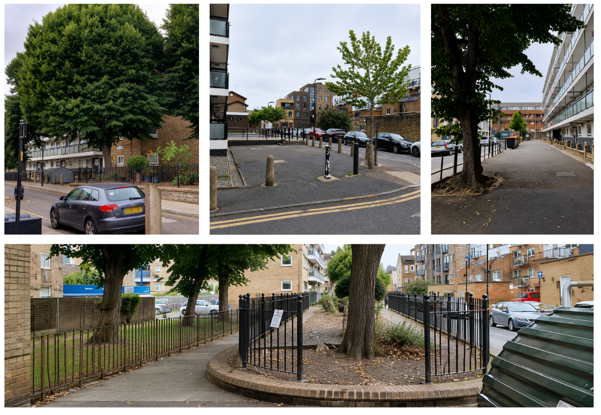 Collage of photographs showing the existing conditions along Regan Way, including the streetscape, mature trees, pedestrian routes, hard surfaced areas and the former raised planter before proposed improvements are delivered.