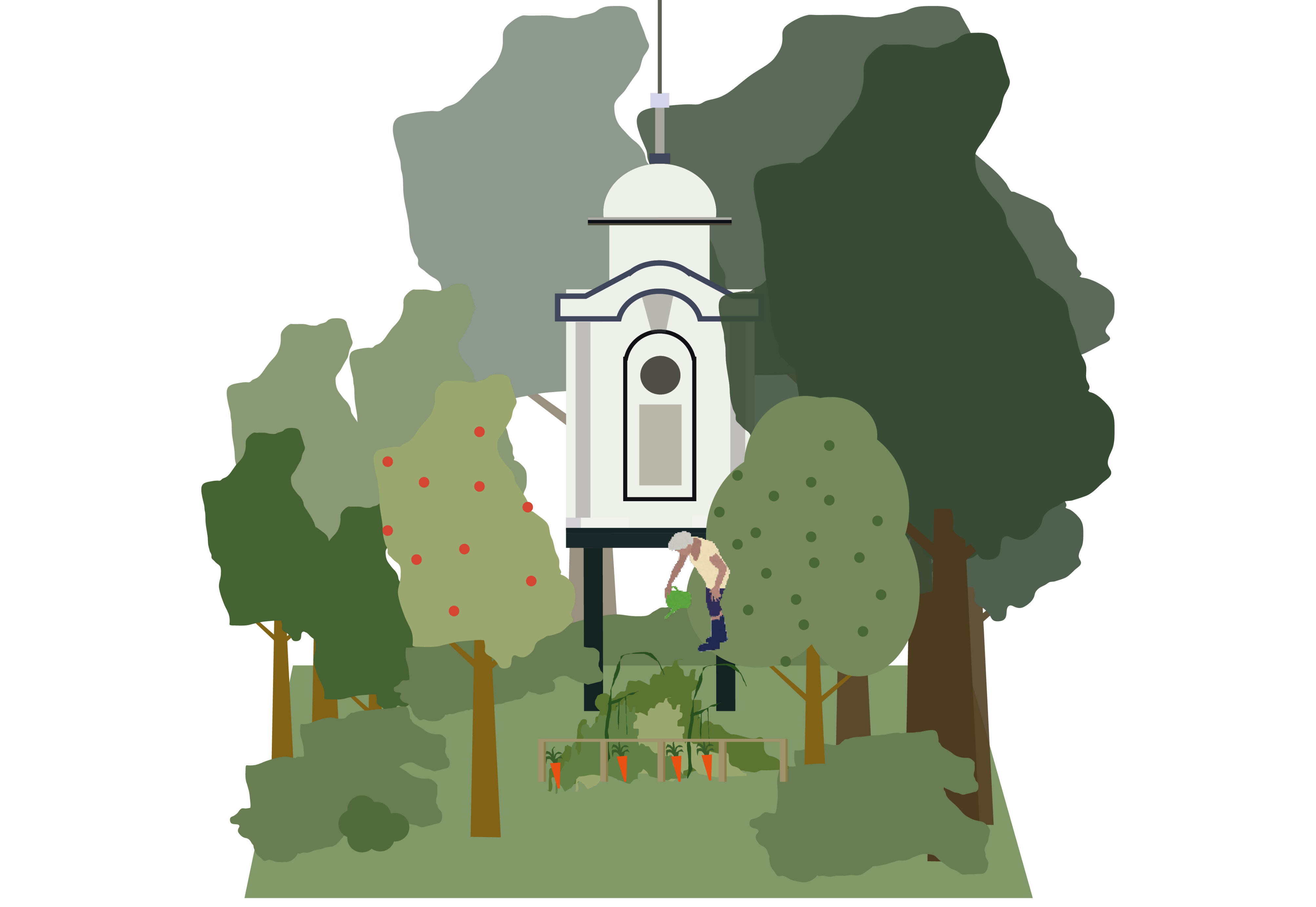 llustration showing a green space in Hoxton with mature trees, planting and a small community growing area. An older person is tending plants near raised beds, with greenery and nature integrated around a local landmark structure.