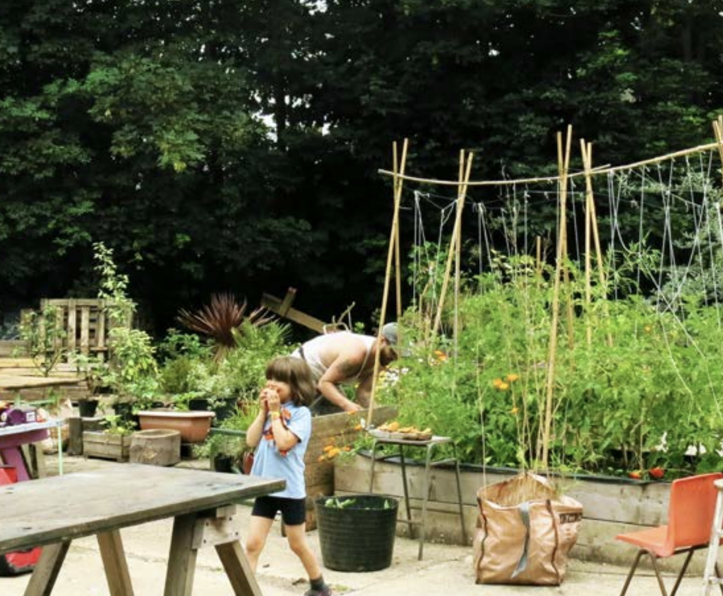 A man doing gardening and a child eating in an allotment.